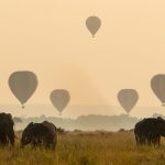 Elephants and balloons