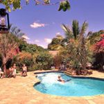 Mara Fig Tree Camp swimming pool