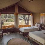 Porini Cheetah Camp Guest Tent