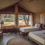 Porini cheetah camp guest tent