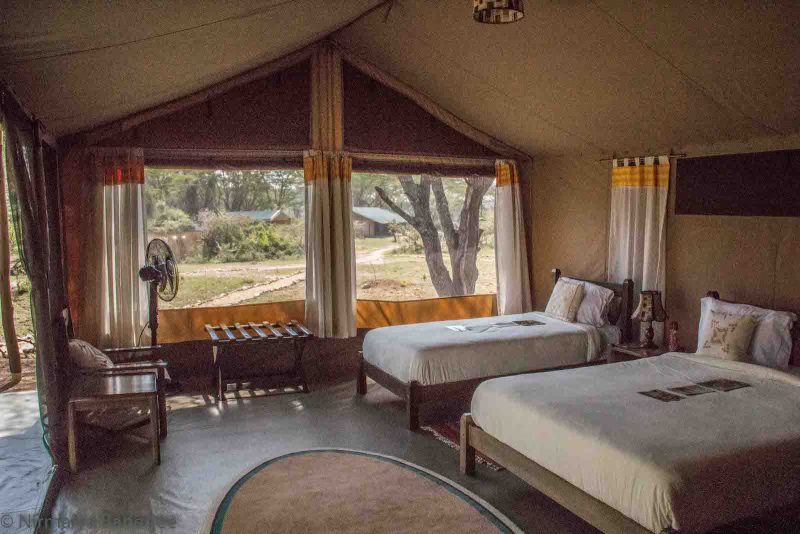 Porini cheetah camp guest tent
