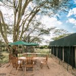 Porini Cheetah Camp exteriors