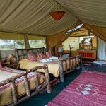 Porini Lion Camp