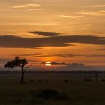 A Mara sunrise