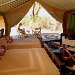 Non-seasonal safari camp