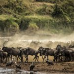 Great plains Mara expedition