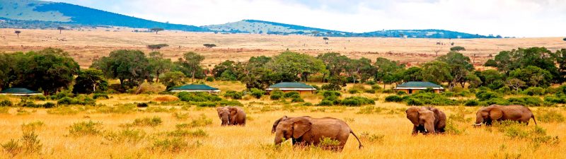 Keekorok lodge