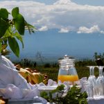 Kenya bush breakfast