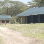 Porini cheetah camp