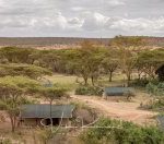 Porini cheetah camp