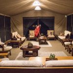 Porini cheetah camp