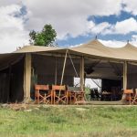 Porini lion camp