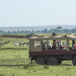 Game drive