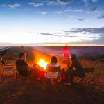 Safari dinner