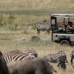 Saruni Mara Mara north conservancy Maasai Mara safari