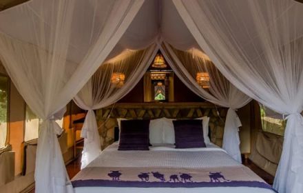 Sarova Mara Game Camp