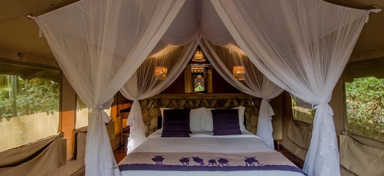 Sarova Mara Game Camp