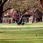 Hectares of grassland