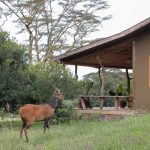 Ol Pejeta Safari Cottages