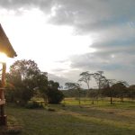 Ol Pejeta Safari Cottages