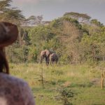 Ol Pejeta Safari Cottages