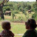 Ol Pejeta Safari Cottages