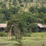 Kenya Ol Pejeta Porini Rhino-Camp