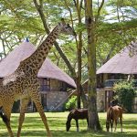 Lake Naivasha Sopa Resort