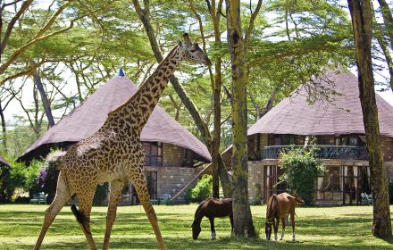 Lake Naivasha Sopa Resort