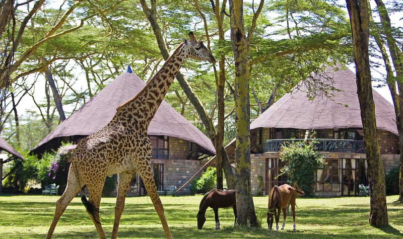 Lake Naivasha Sopa Resort