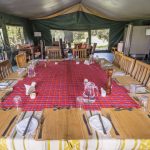 Porini rhino camp dine