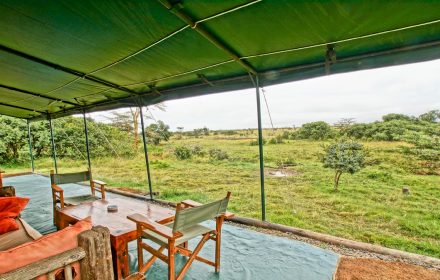 Porini rhino camp