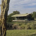 Porini rhino camp