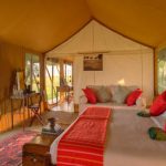 Elephant Pepper Camp Honeymoon Tent