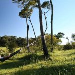 Elephant Pepper Camp Honeymoon Tent relaxing in hammock