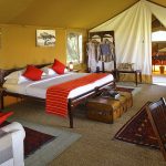 Elephant Pepper Camp accommodation family honeymoon tent bedroom