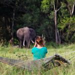 Elephant Pepper Camp wildlife viewing from the camp