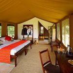 Elephant Pepper Camp