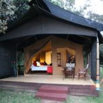 Elephant Pepper Camp