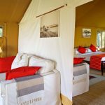 Elephant Pepper Camp family honeymoon tent