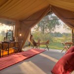 Elephant Pepper Camp tent