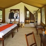 Elephant Pepper Camp Luxury Safari Tents