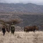 Lewa Safari Camp Bush Walk