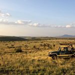 Lewa Safari Camp Game Drive