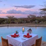 Lewa safari camp