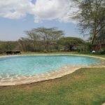 Lewa safari camp