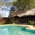 Lewa safari camp accommodation swimming pool