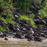 Mara Ngenche Safari Camp