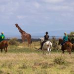 Horse-riding