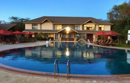 A view of the pool